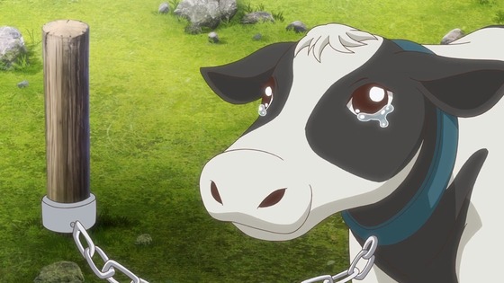 私、能力は平均値でって言ったよね! 第9話 感想 00511