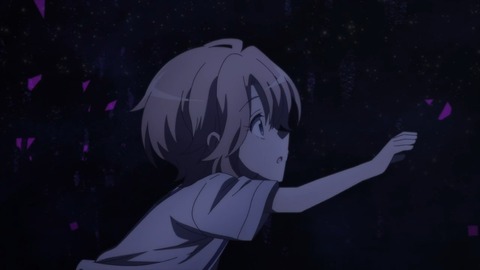 はめふらX 2期 第11話 感想 518