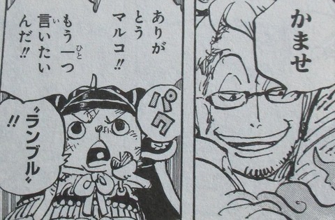 ONE PIECE 100巻 感想 21