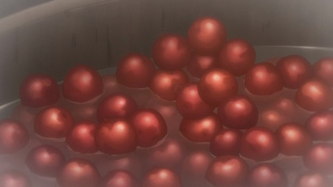 ゴールデンカムイ 第36話 最終回 感想 293