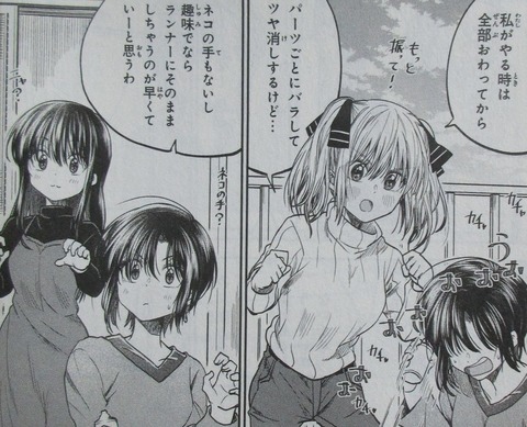 HGに恋するふたり 3巻 感想 ネタバレ 25