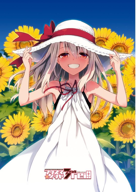 プリズマ イリヤ ドライ! 11巻 感想 00001