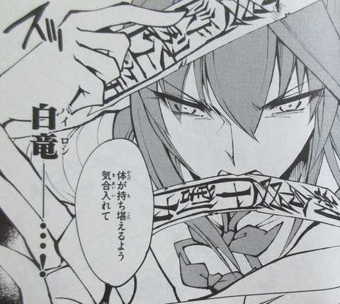SHAMAN KING レッドクリムゾン 2巻 感想 00090