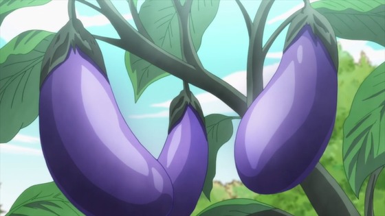 はめふら 第9話 感想 00492