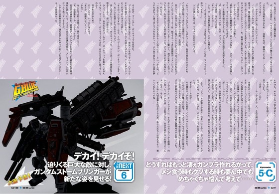 GBWC5 (8)