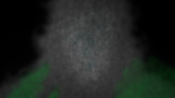00550
