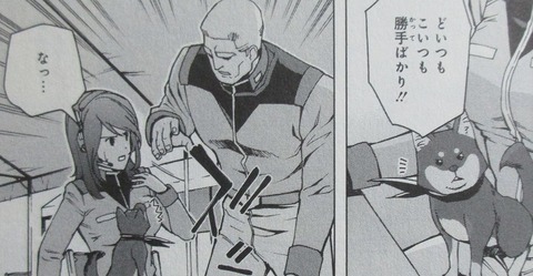 ガンダムUC アクロス・ザ・スカイ 2巻 感想 019
