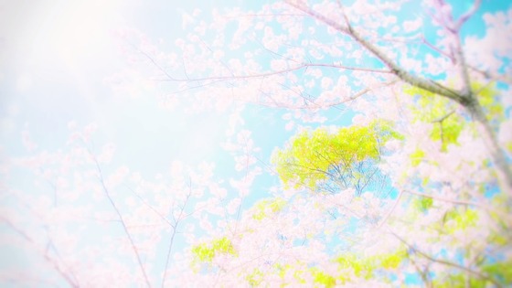00005