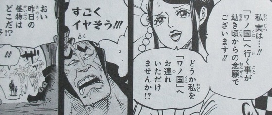 ONE PIECE 95巻 感想 00050