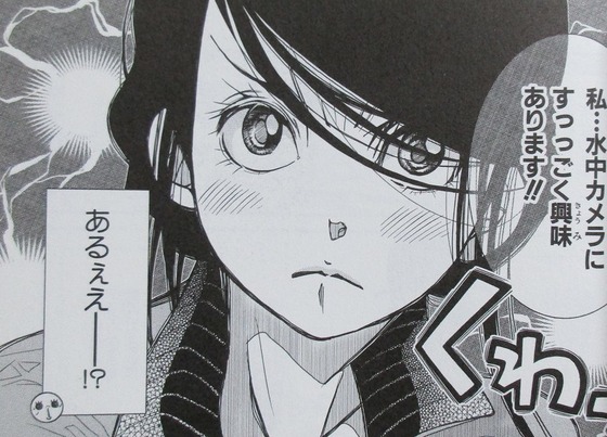 あまんちゅ 15巻 感想 00033
