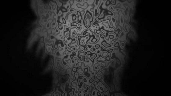 00431
