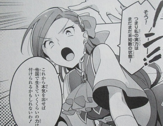 はめふら 絶体絶命! 破滅寸前編 1巻 感想 00077