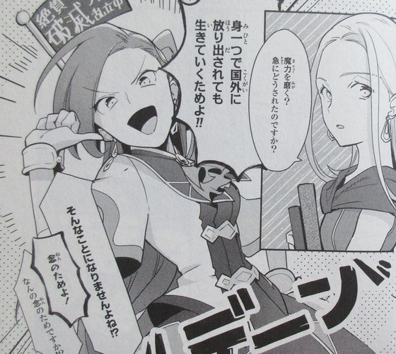 はめふら 絶体絶命! 破滅寸前編 1巻 感想 00078