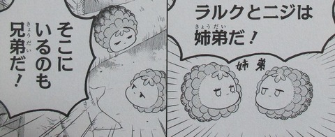 ニジとクロ 3巻 最終回 感想 13