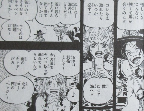 ONE PIECE 99巻 感想 ネタバレ 34