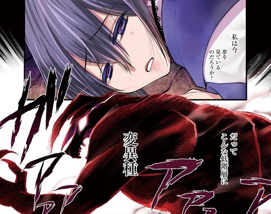 白魔法師は支援職ではありません 1巻 感想 00001