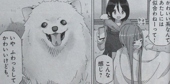 ゆるキャン 10巻 感想 00051