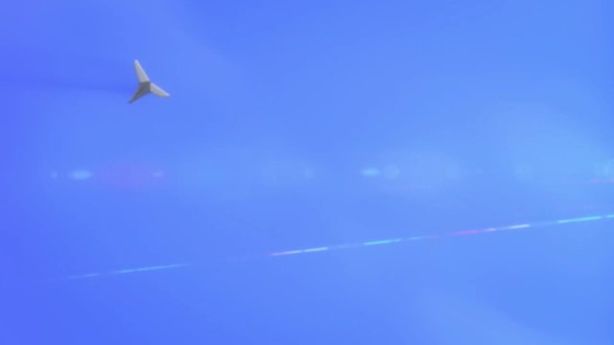 00513
