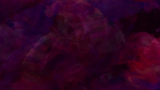 00081