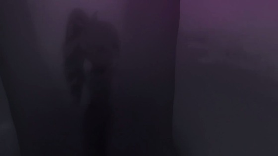 00589