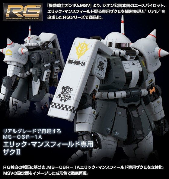 20190122_rg_eric_manthfields_zaku_05
