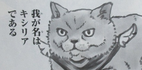 シャアとアムロと老いと 安らぎの地平へ 感想 00031