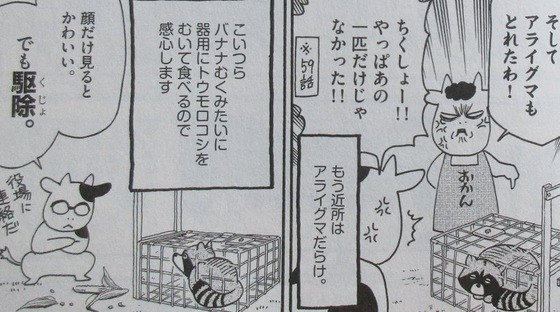 百姓貴族 6巻 感想 00021