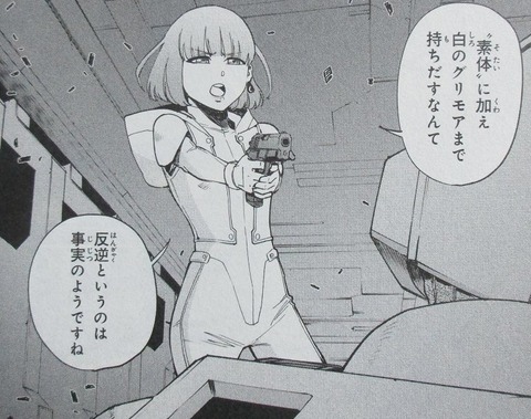 機動戦士ガンダム ヴァルプルギス 8巻 感想 064