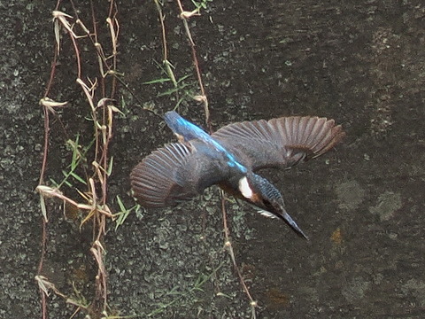 P7208858