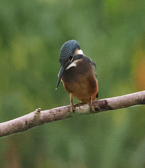 P7142482