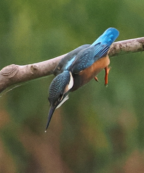 P7142486