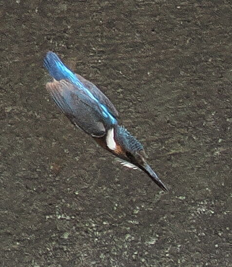 P7208862