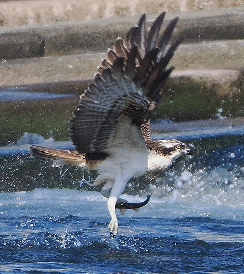PB012185