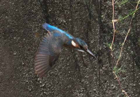 P7208363