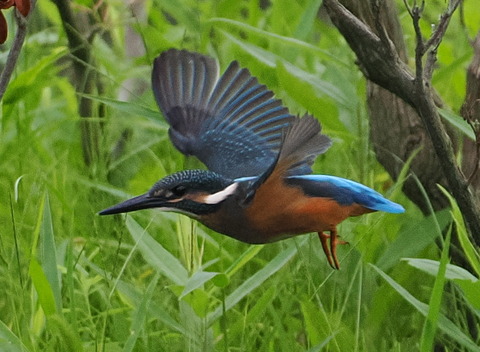 P7142726