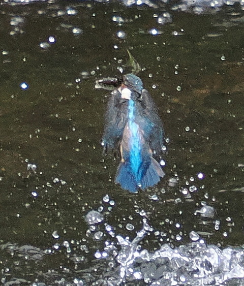 P7208888