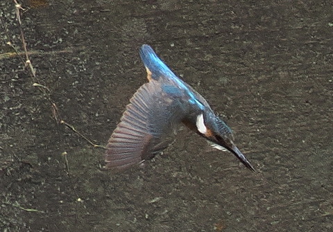 P7208861