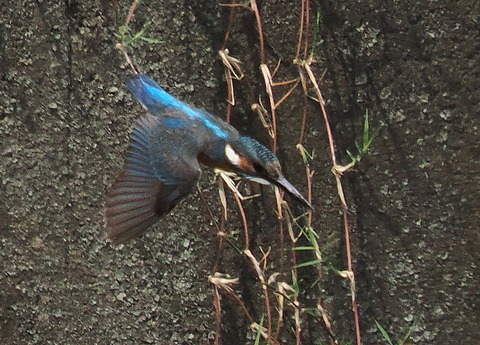 P7208366
