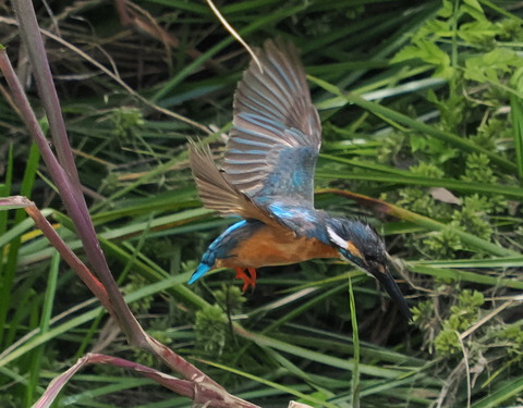 P6285805