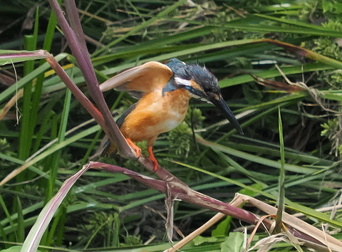 P6285799