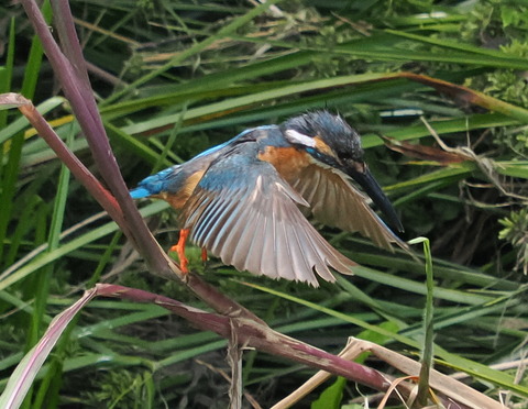 P6285801