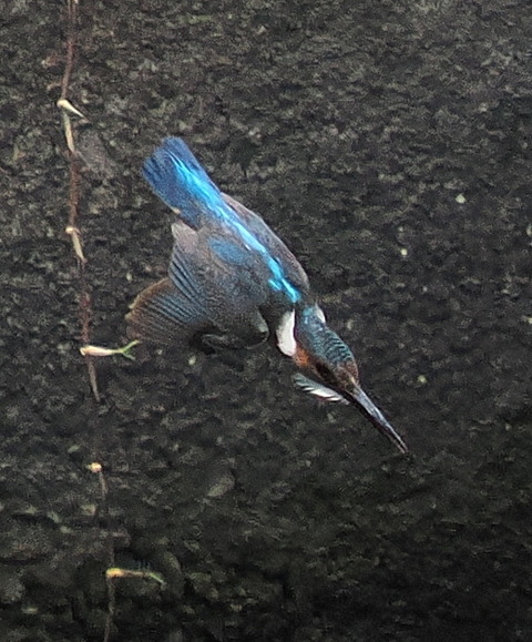 P7208867