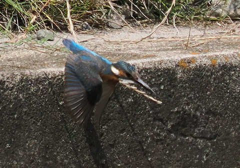 P7208351