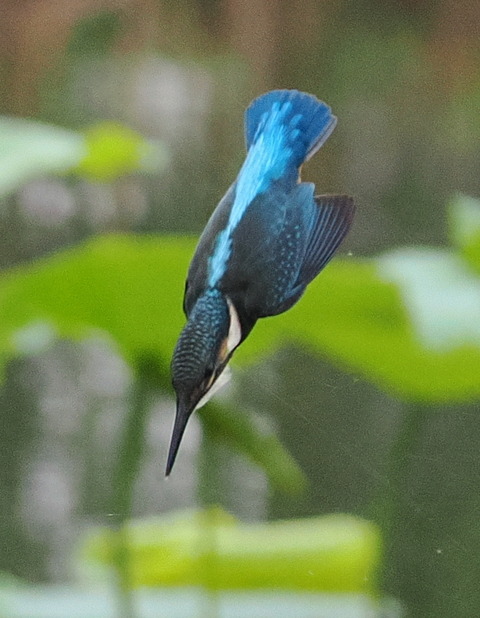P7142489