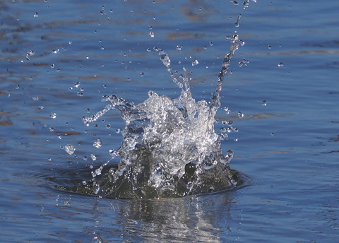 P2287839