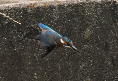 P7208356