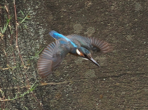 P7208370