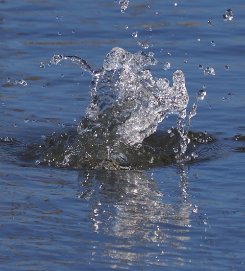P2287841