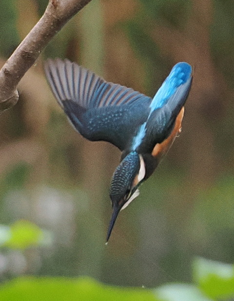 P7142488