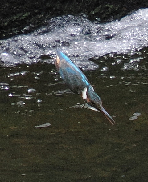 P7208870